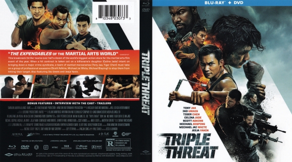 CoverCity - DVD Covers & Labels - Triple Threat