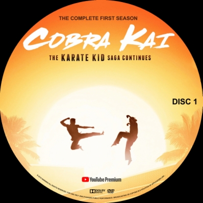 Cobra Kai - Season 1; disc 1