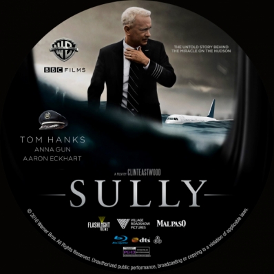 CoverCity - DVD Covers & Labels - Sully
