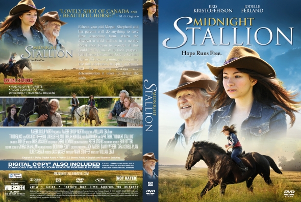 Midnight Stallion
