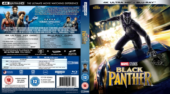 Black Panther 4K