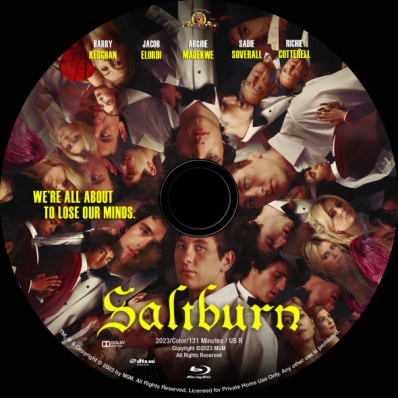 CoverCity - DVD Covers & Labels - Saltburn