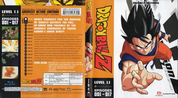 Dragon Ball Z - Level 1.1