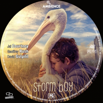 Storm Boy