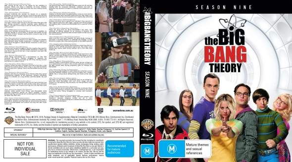 CoverCity - DVD Covers & Labels - The Bing Bang Theory - Season 9