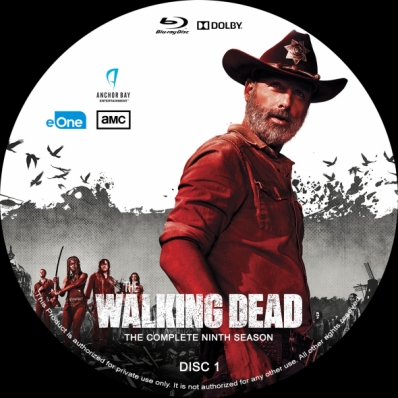 The Walking Dead - Season 9; disc 1