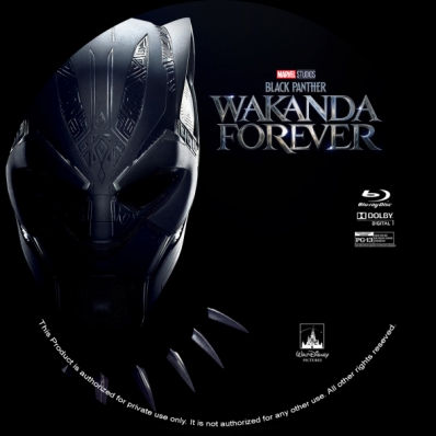 Black Panther: Wakanda Forever