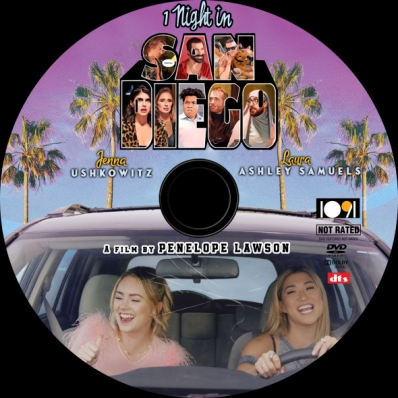 1 Night in San Diego