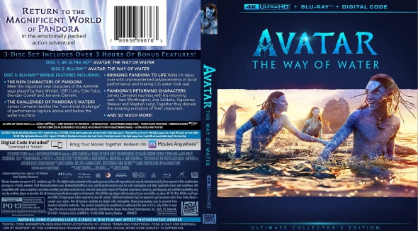 CoverCity - DVD Covers & Labels - Avatar: The Way of Water 4K