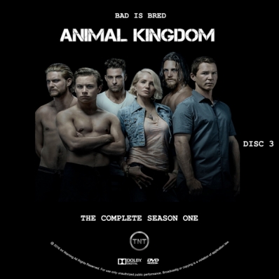 CoverCity - DVD Covers & Labels - Animal Kingdom - Season 1; disc 3