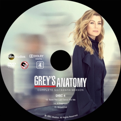 CoverCity - DVD Covers & Labels - Grey's Anatomy - Season 16; disc 4