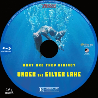 CoverCity - DVD Covers & Labels - Under the Silver Lake