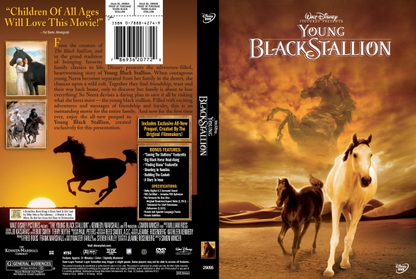 The Young Black Stallion