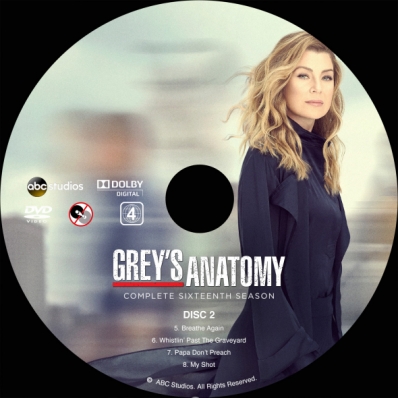 Ellen Pompeo Pro Bono Grey's Anatomy Season 16 Episode 18