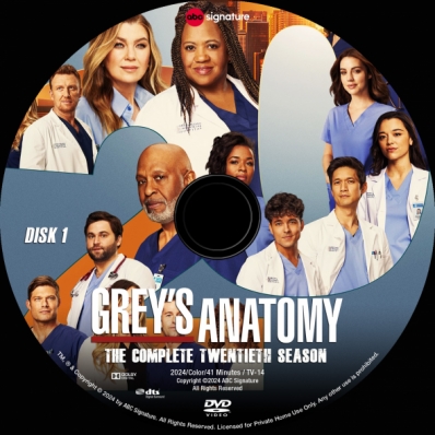 Grey's Anatomy - Season 20; disk 1