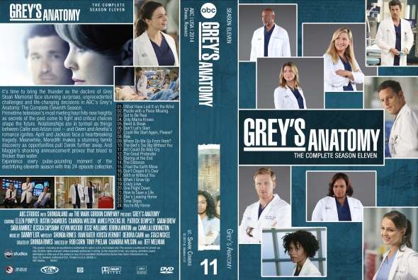 Grey's Anatomy - Season 11