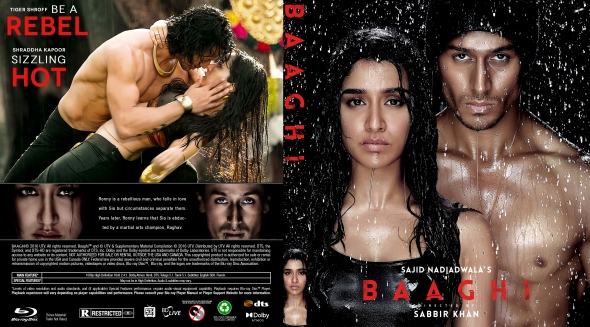 Baaghi