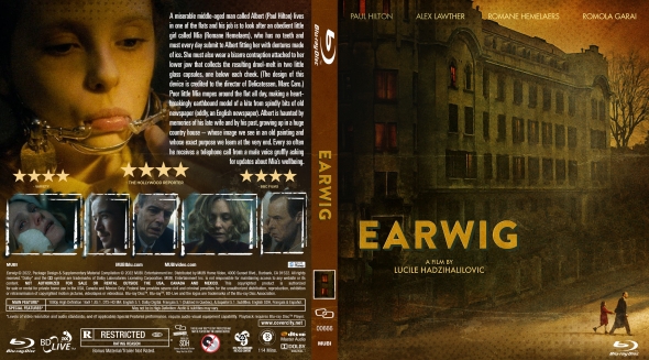 Earwig