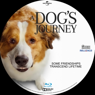 A Dog's Journey