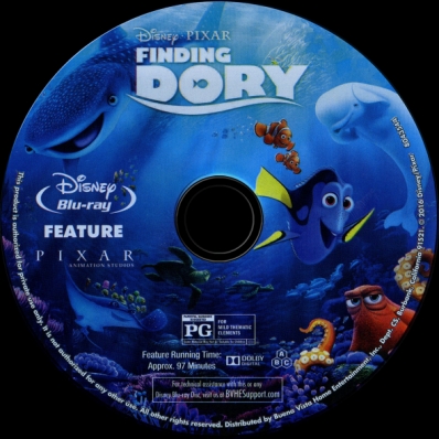 Finding Dory