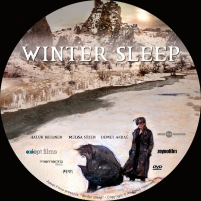 Winter Sleep