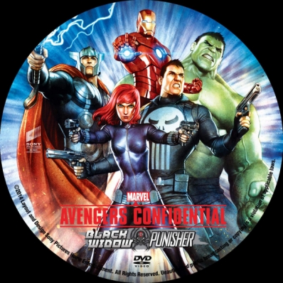 Avengers Confidential: Black Widow & Punisher