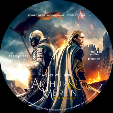 CoverCity - DVD Covers & Labels - Arthur & Merlin: Knights of Camelot