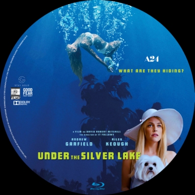 CoverCity - DVD Covers & Labels - Under the Silver Lake