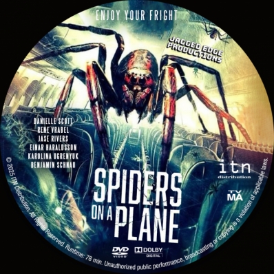 Spiders on a Plane