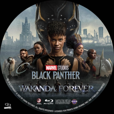 Black Panther: Wakanda Forever