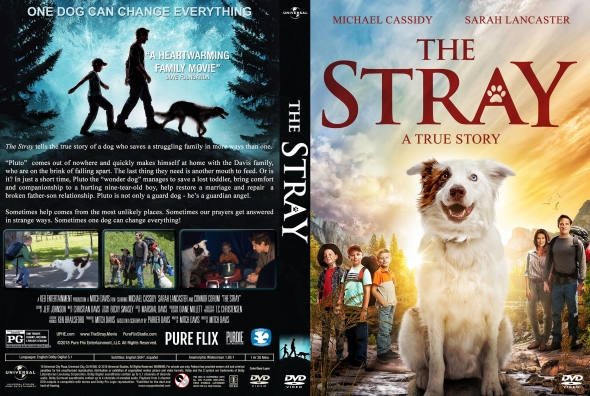 The Stray
