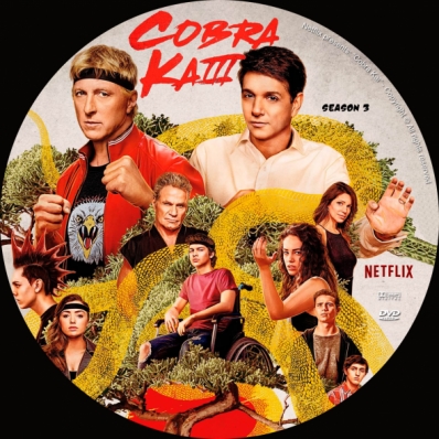 Cobra Kai - Season 3