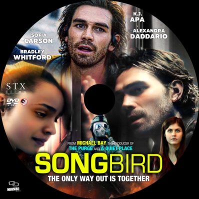 Covercity Dvd Covers Labels Songbird