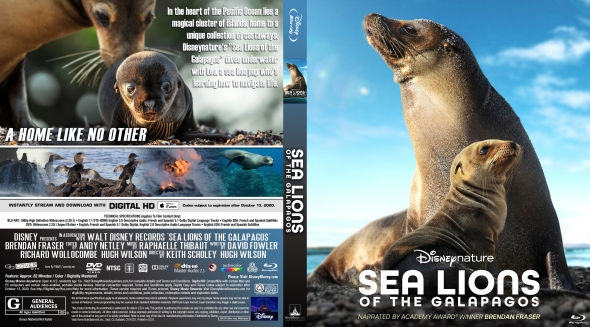 Sea Lions of the Galapagos