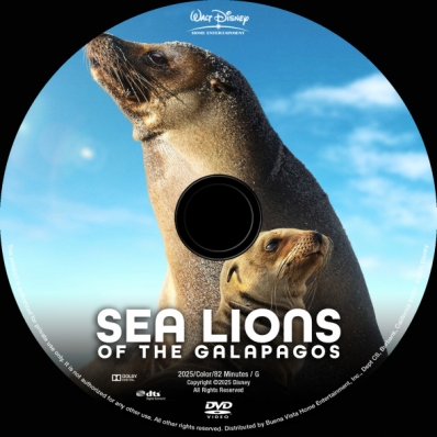 Sea Lions of the Galapagos